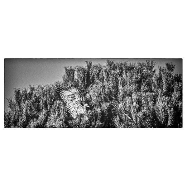 PHOTO84, CLUB, 84 , LUBERON